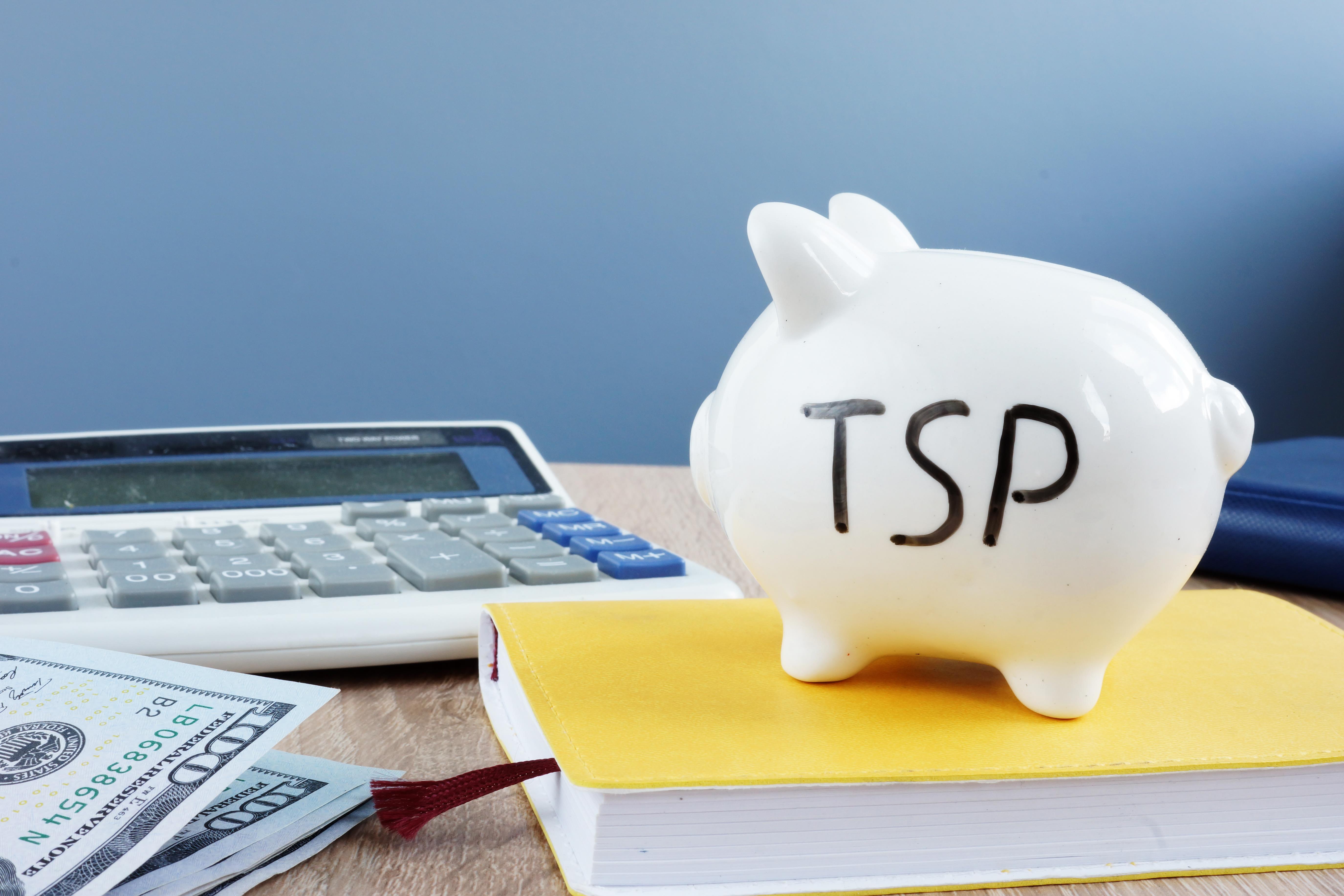 TSP - Piggy Banks.jpg