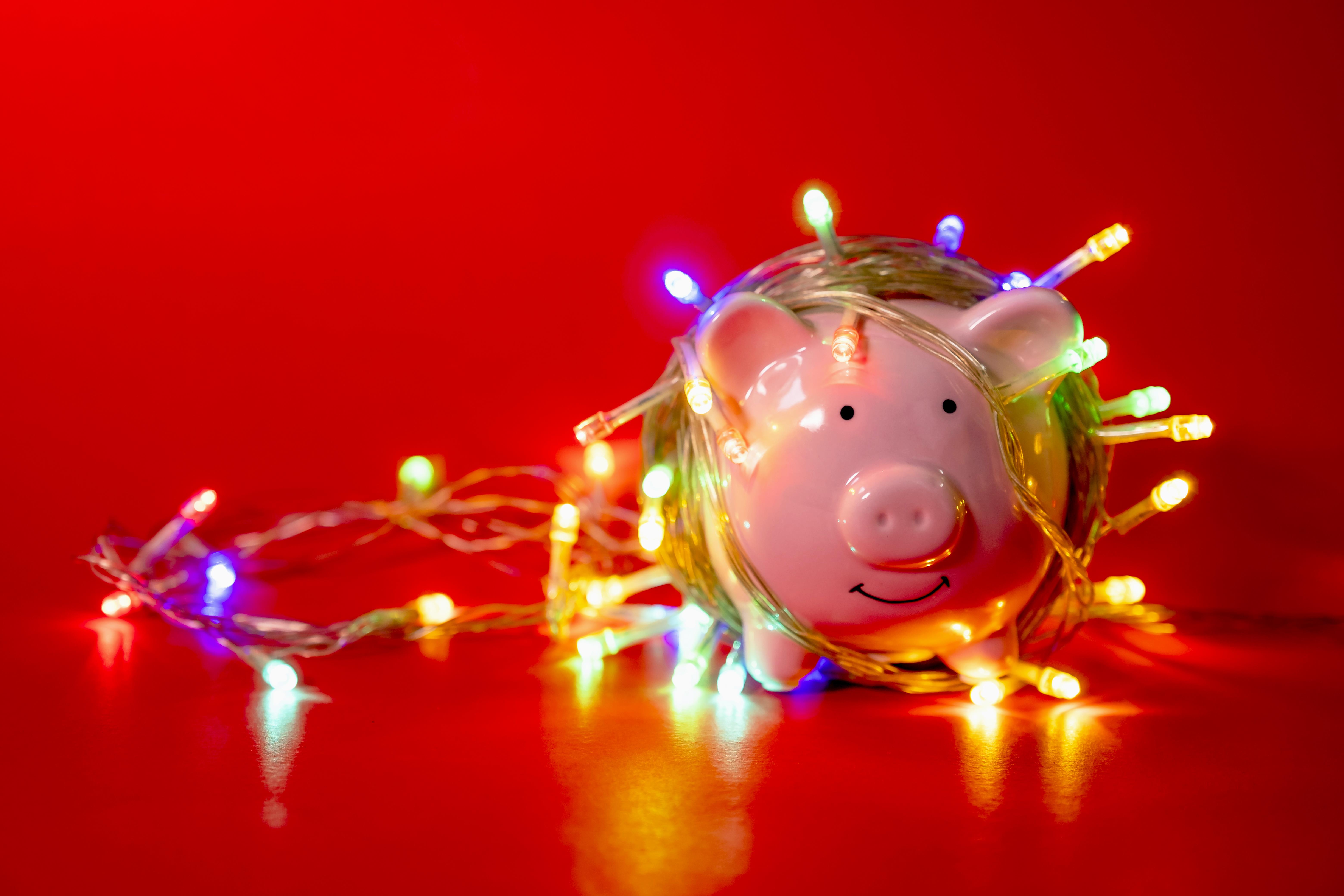 Holiday Lights - Piggy Bank.jpg